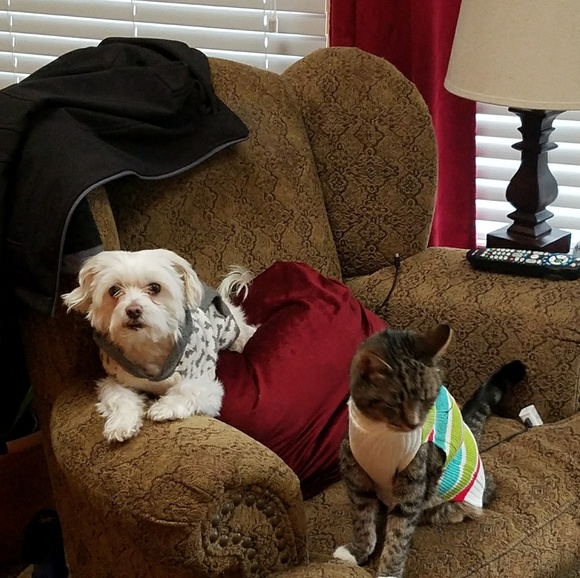 Meet your Posher, Jaime - Picture 9 of 16